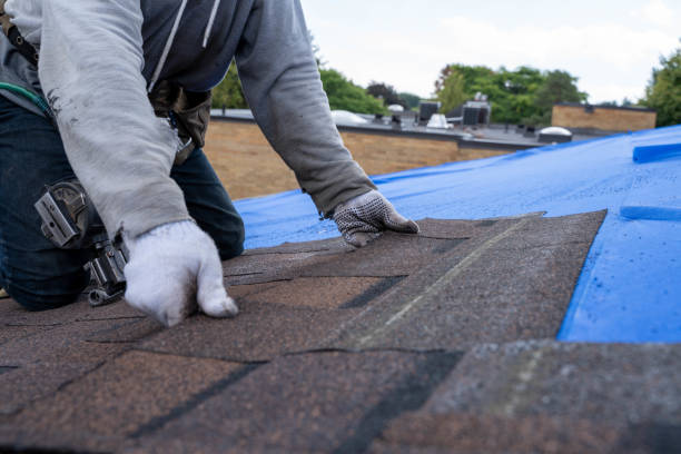 Best Roof Repair Specialists  in Morgandale, OH