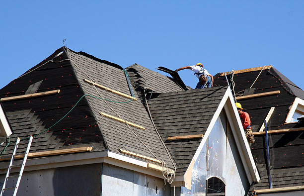 Best Roof Gutter Cleaning  in Morgandale, OH