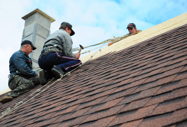 Best Roof Leak Repair  in Morgandale, OH